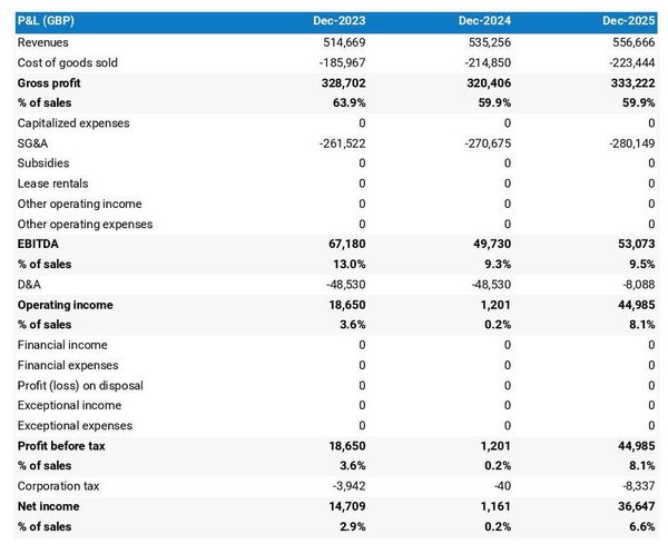 projected department store startup income statement