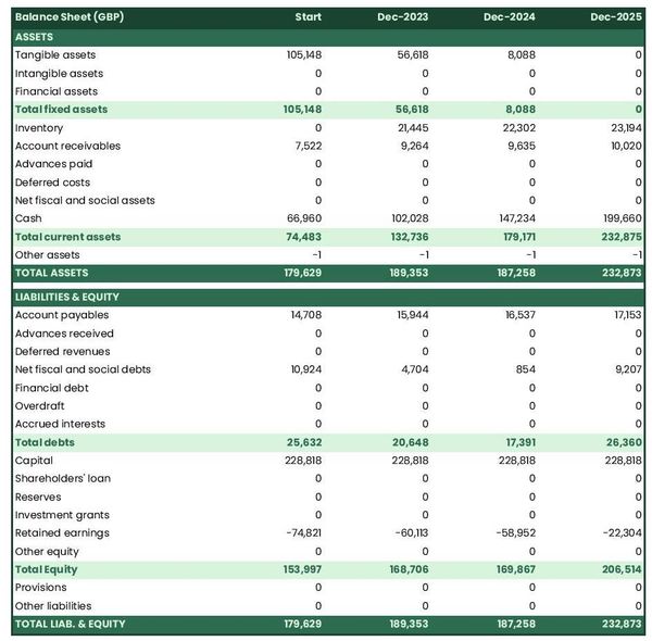 financial forecast to open a consumer electronics store balance sheet example