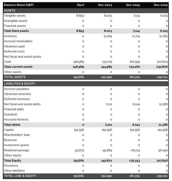 example of pump and compressor manufacturing business startup projected balance sheet