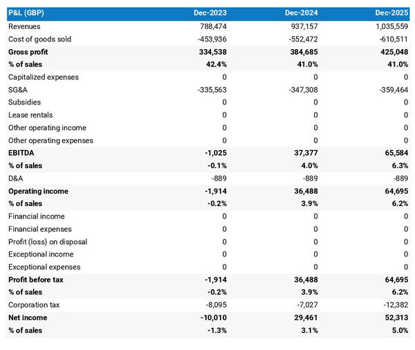 projected lifting and handling gear manufacturing business startup income statement