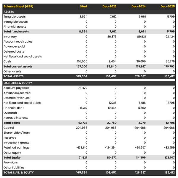 financial forecast to open a fish processing company balance sheet example