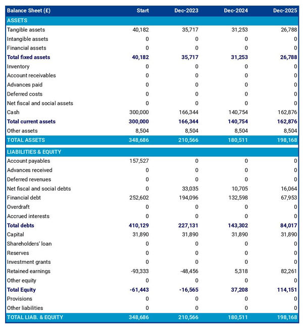 example of fruit juice producing company startup projected balance sheet