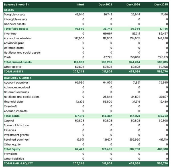 nut processing firm startup balance sheet example