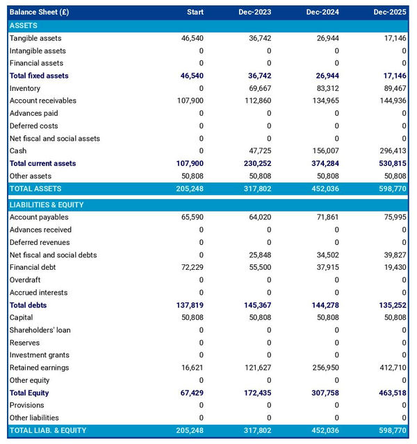 example of palm oil producing company startup projected balance sheet