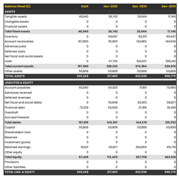 example of mustard oil producing company startup projected balance sheet