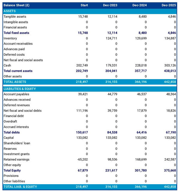 example of cheese processing company startup projected balance sheet
