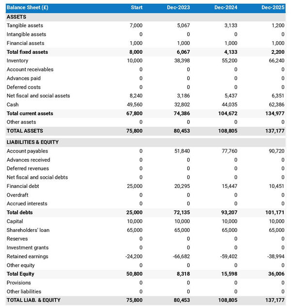 example of weaving workshop startup projected balance sheet