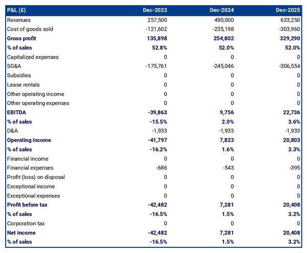 projected profit and loss statement for opening a carpet and rug manufacturing business 