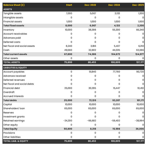 example of fur articles manufacturing business startup projected balance sheet