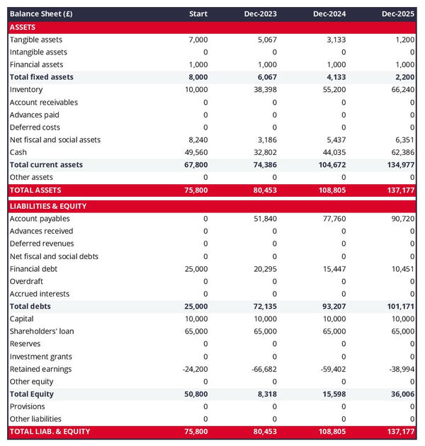 financial forecast to open a fur dressing and dyeing workshop balance sheet example