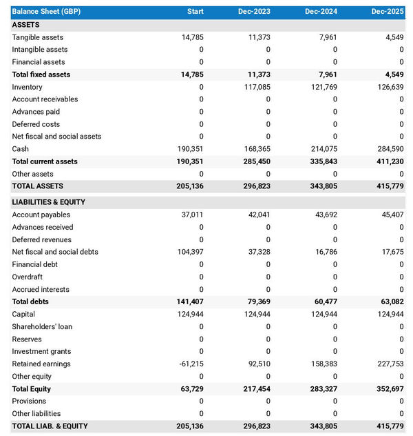 example of swimming school startup projected balance sheet