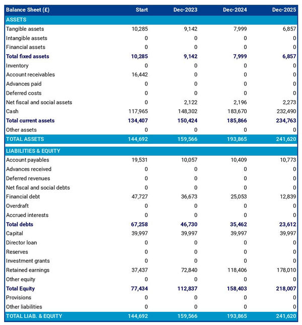 example of training center startup projected balance sheet