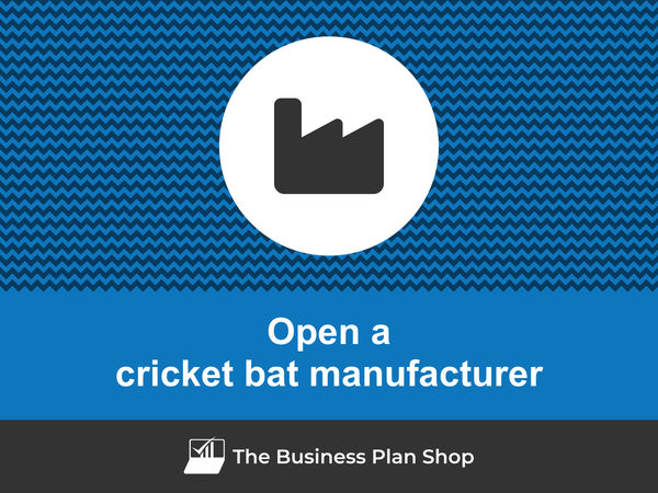 open a cricket bat manufacturing business