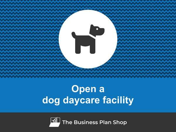 how to open a dog daycare facility