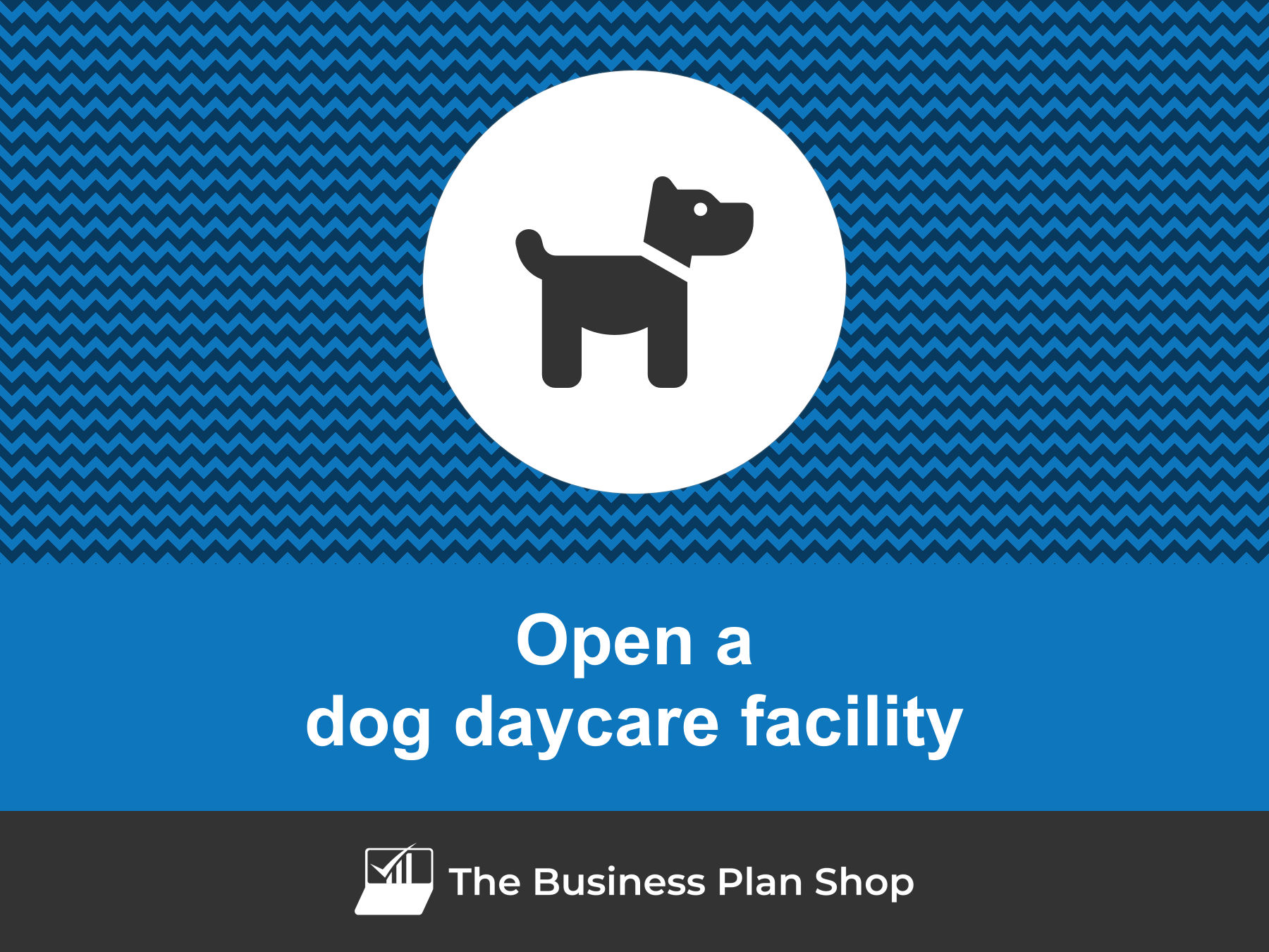 How to open a profitable dog daycare facility?