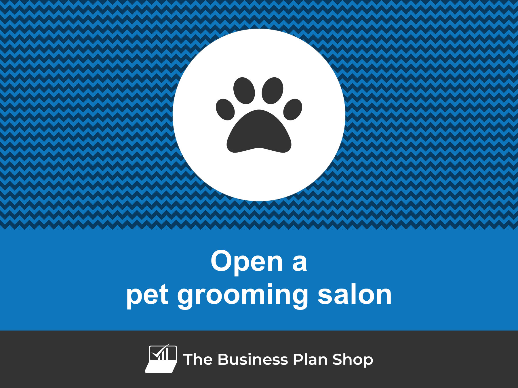 How to open a profitable pet grooming salon?