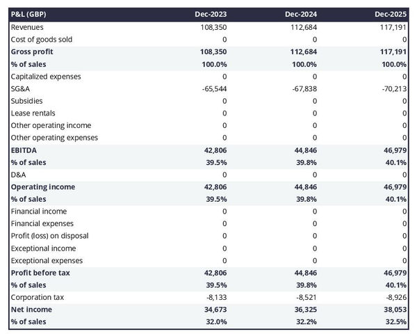 projected profit and loss statement for opening a personal services company 