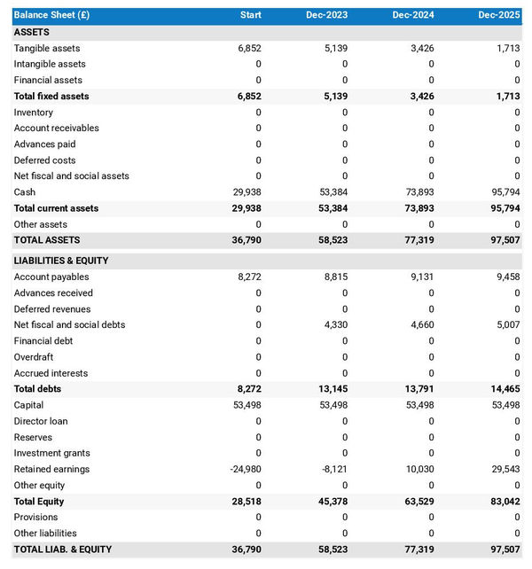 example of life coach company startup projected balance sheet