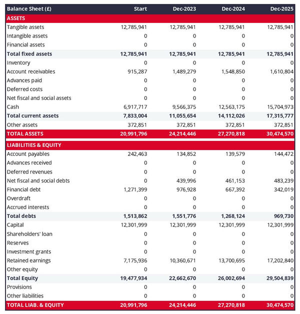 example of water purification plant startup projected balance sheet