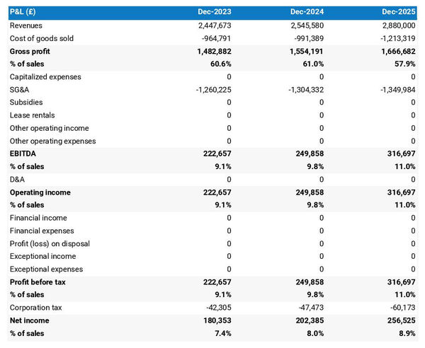 projected profit and loss statement for opening a marketplace