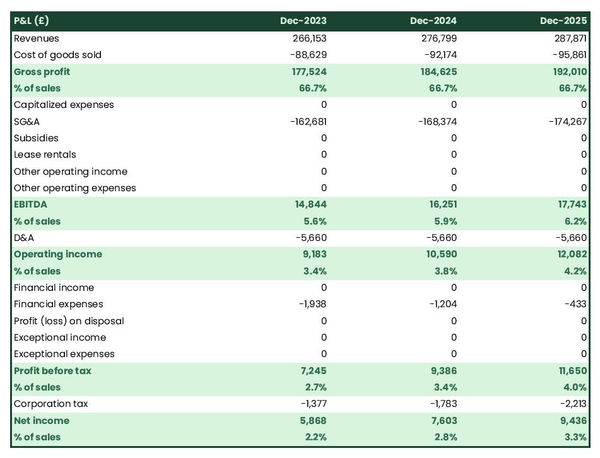 projected ferries and cruise company startup income statement