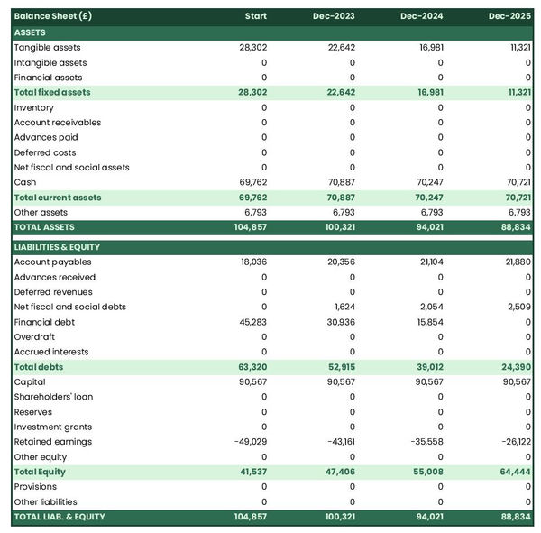 ferries and cruise company startup balance sheet example