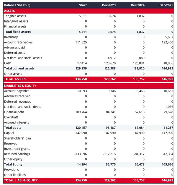 web portal company startup balance sheet example