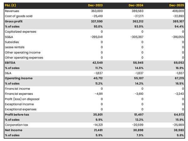 projected profit and loss statement for opening a web hosting company 