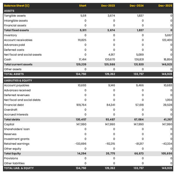 example of web hosting company startup projected balance sheet