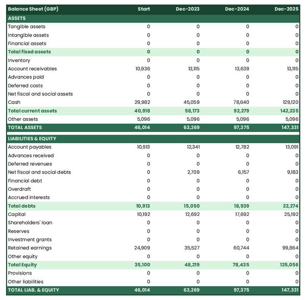 performance management firm startup balance sheet example