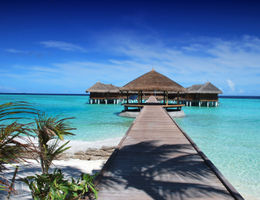 Modèle de business plan d'agence de voyage