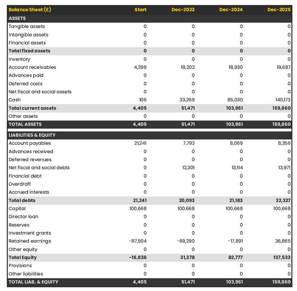 example of seismic surveying firm startup projected balance sheet