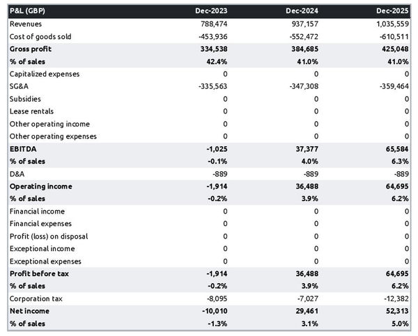 projected R&D lab startup income statement