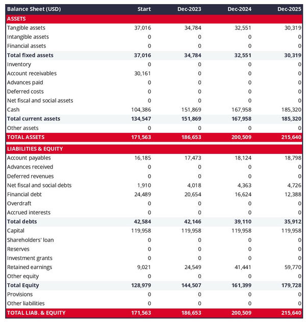 example of RV rental company startup projected balance sheet