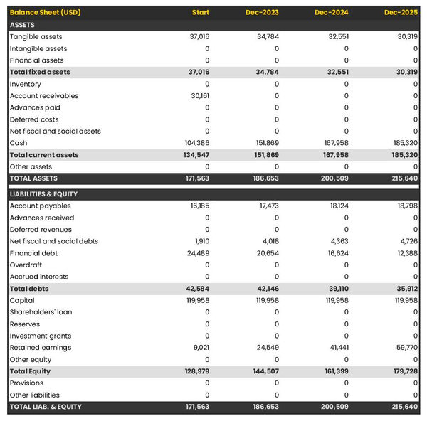 financial forecast to open a surf rental company balance sheet example