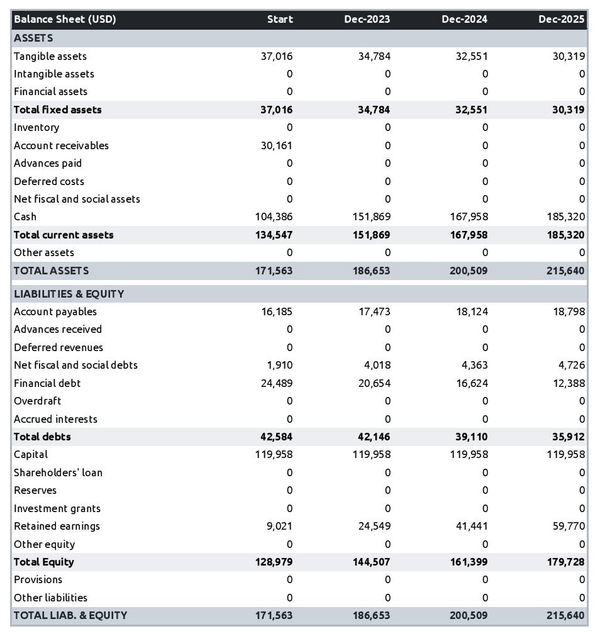 example of office equipment rental company startup projected balance sheet