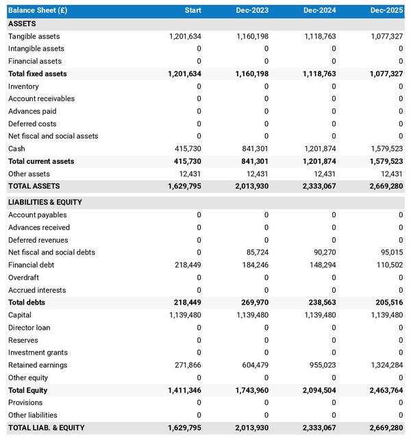 example of background check agency startup projected balance sheet
