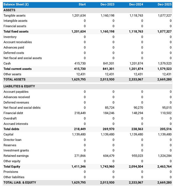 example of IP licensing company startup projected balance sheet
