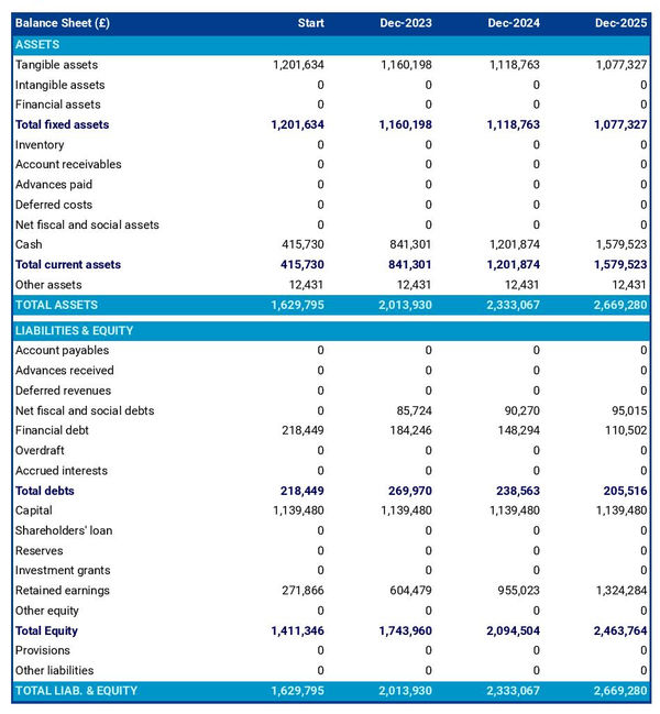 example of photo lab and printing company startup projected balance sheet