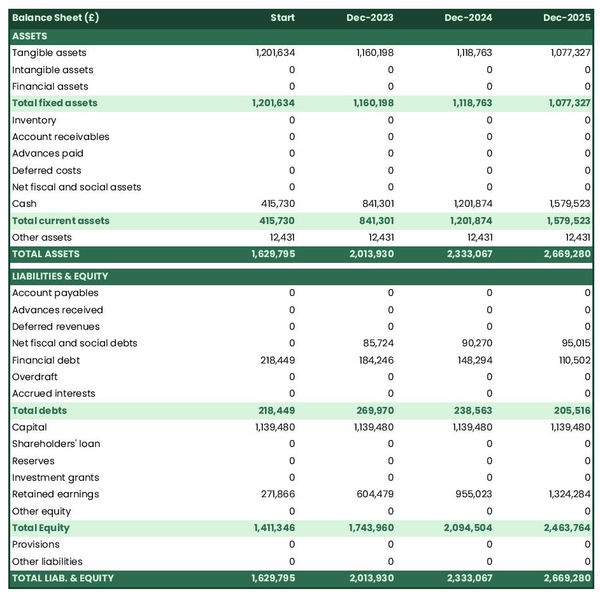example of court stenography company startup projected balance sheet