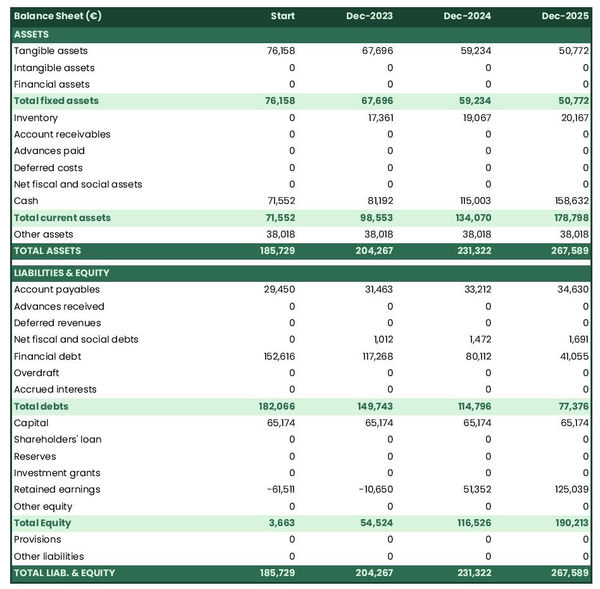 financial forecast to open a private zoo balance sheet example