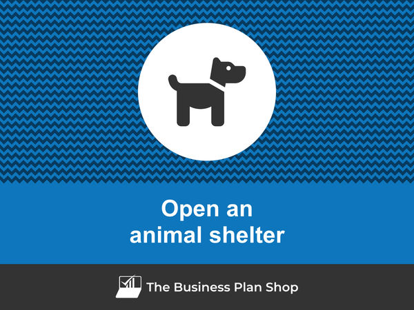 open an animal shelter