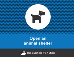 Open an animal shelter