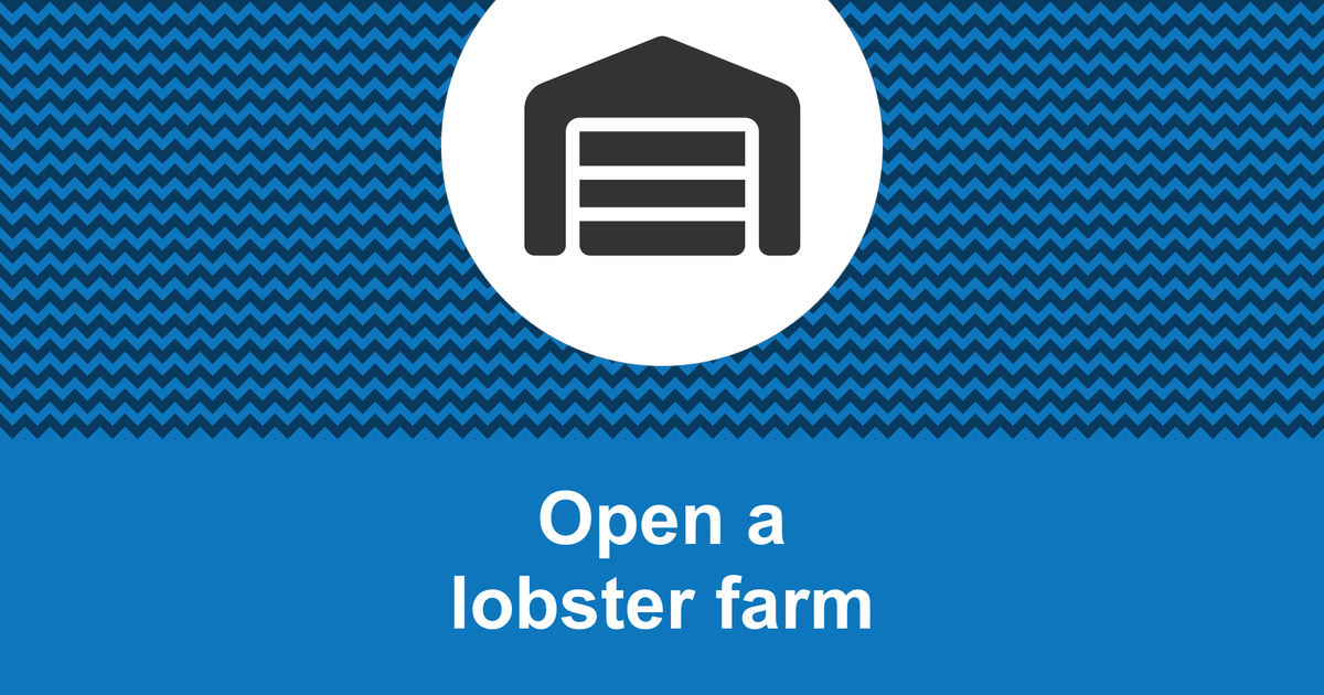 How to open a profitable lobster farm?