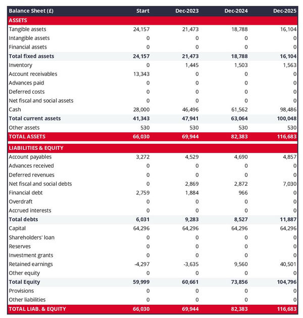 example of bird farm startup projected balance sheet