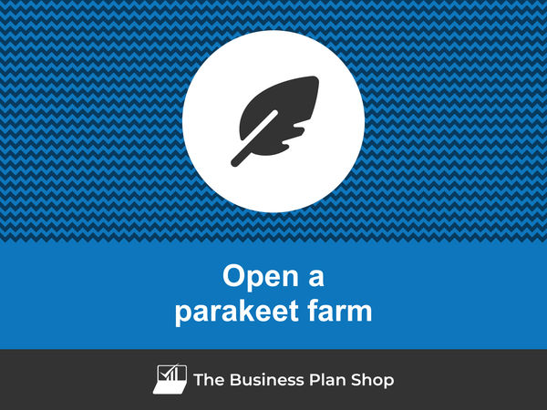 how to start a parakeet farm