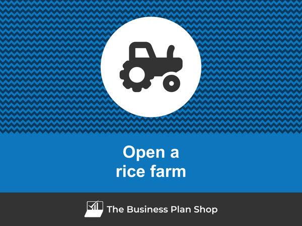 open a rice farm