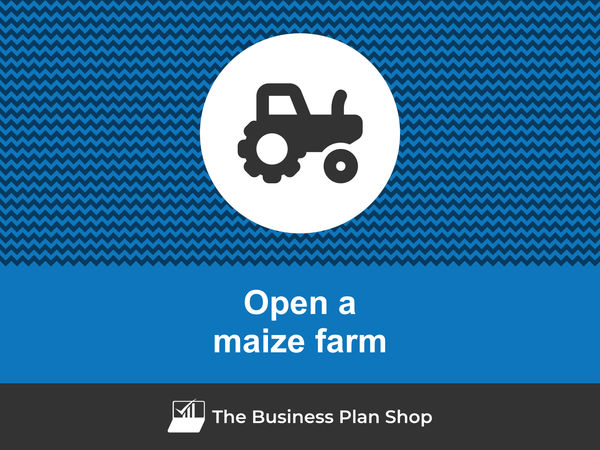 open a maize farm
