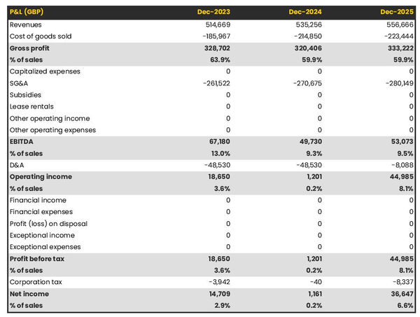 projected profit and loss statement for opening a ski equipment store 