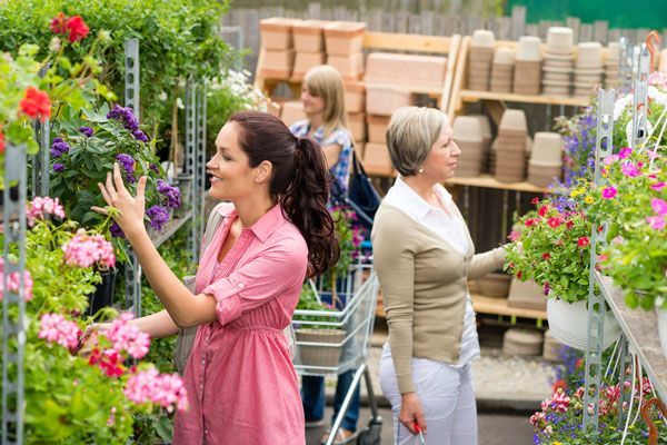 open a plant nursery: products and services